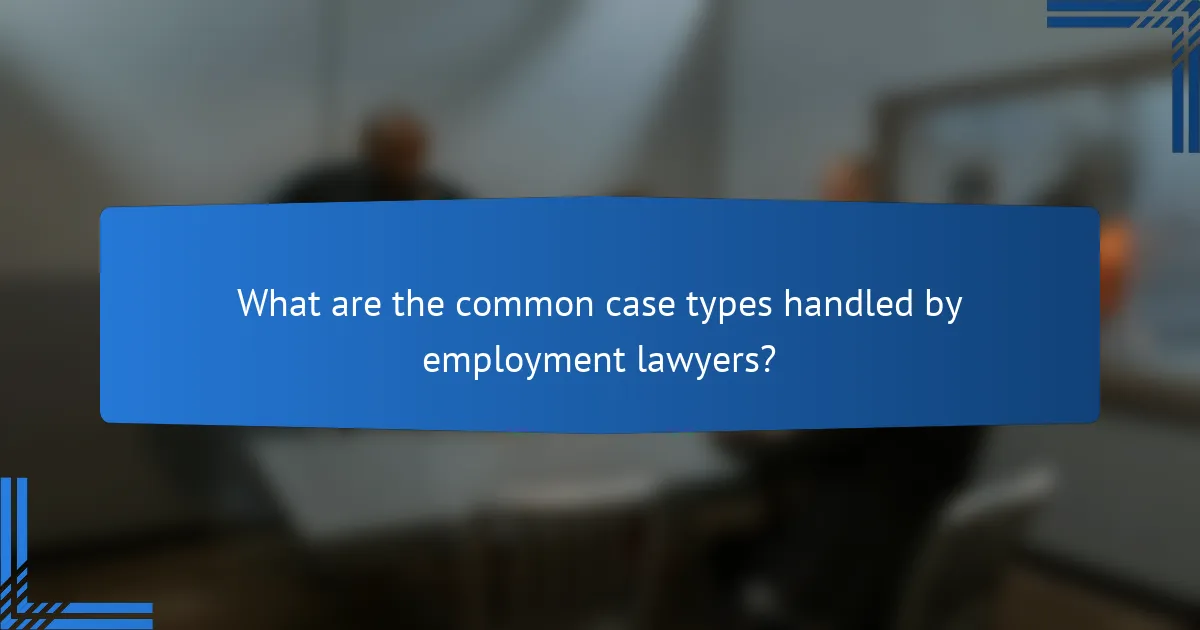 What are the common case types handled by employment lawyers?