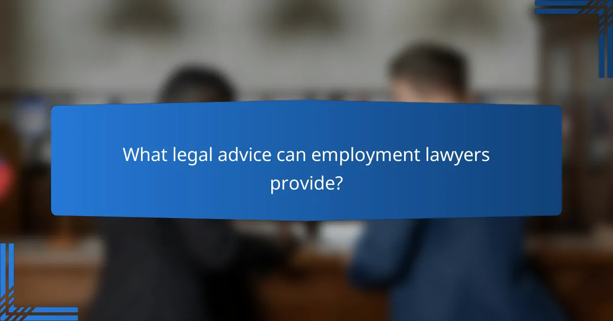 What legal advice can employment lawyers provide?